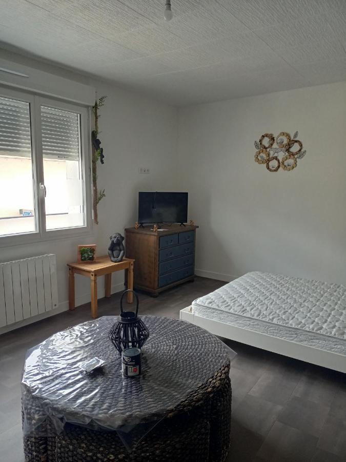 Appart 3 Chambres Noyen-sur-Sarthe Exterior foto